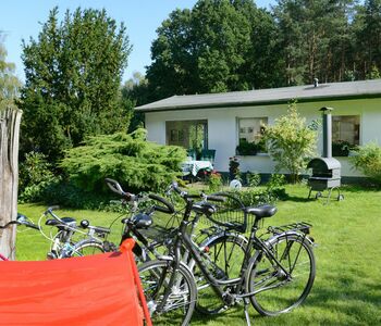 Garten und Ferienhaus im Grünen nahe dem Schwielowsee